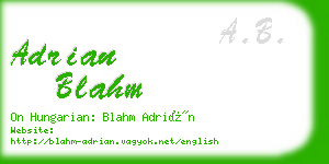 adrian blahm business card